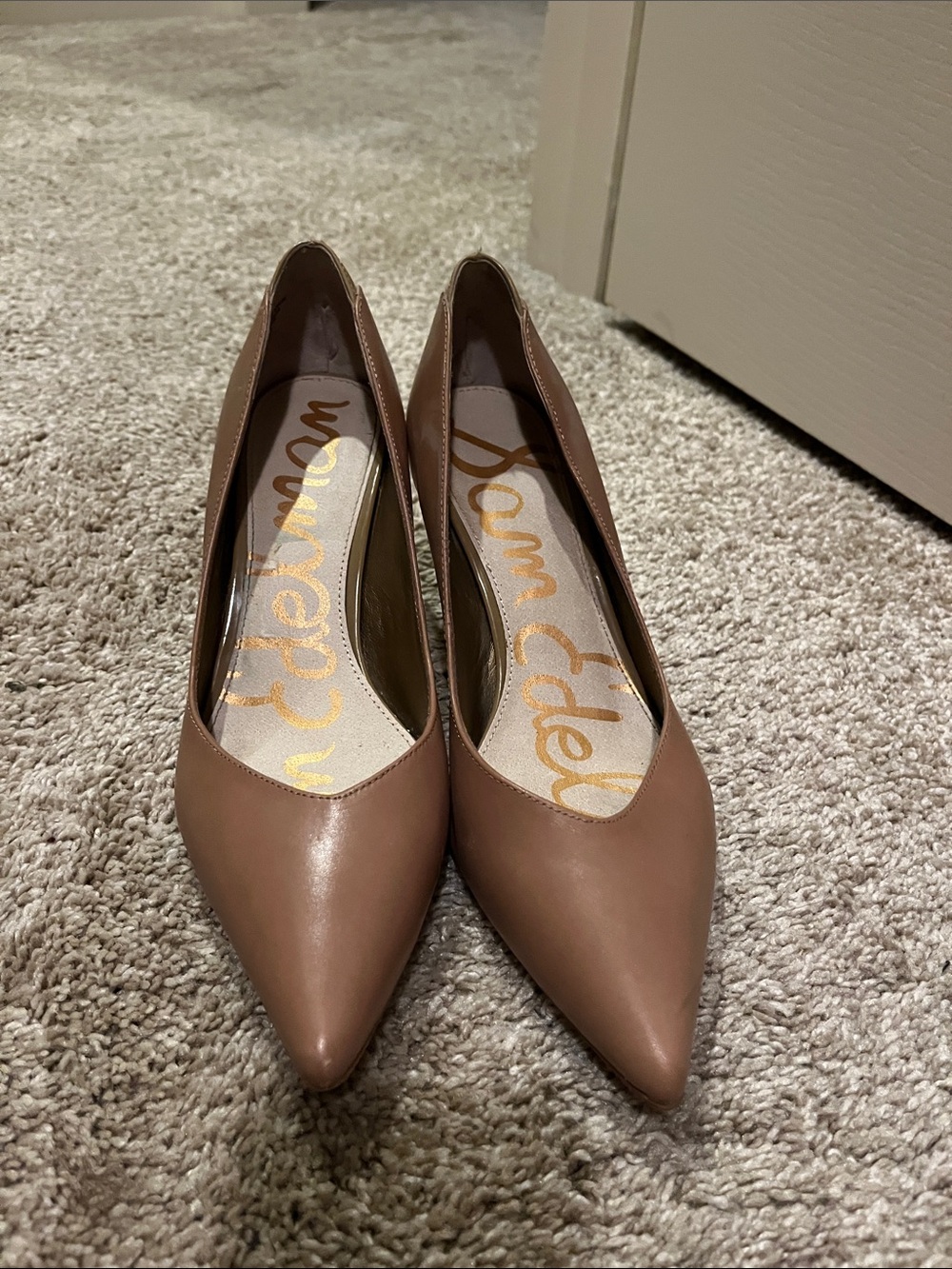 Sam Edelman Pointed Toe Pumps in Tan